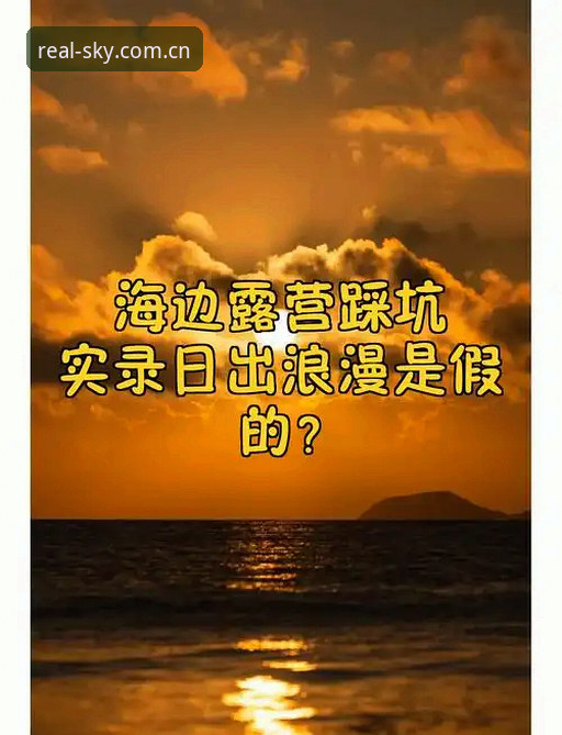 官网下载与网页版登录的取舍，星空体育平台怎么选才不踩坑？